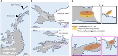 Heterogeneity of Microbial Communities in Soils From the Antarctic Peninsula Region